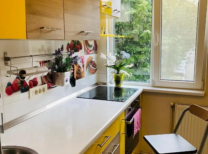 City Center Apartment